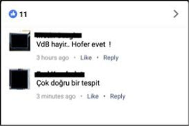 Two Turkish Facebook comments: "No Van der Bellen, Yes Hofer!" and "Definitely right point." Cansu Civelek